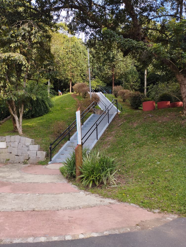Bosque Gutierrez